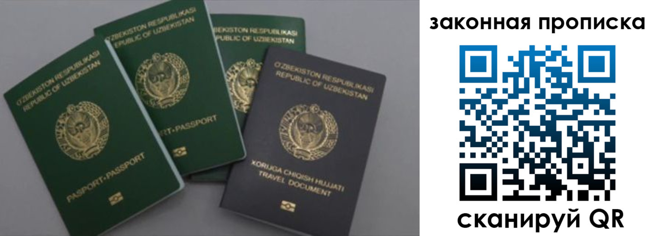 прописка законно в Ярославле